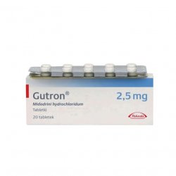 Гутрон таблетки 2,5 мг. №20 в Саранске и области фото