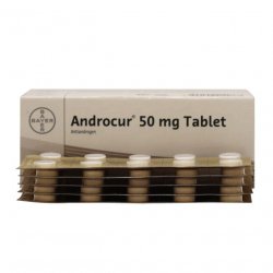 Андрокур (Ципротерон) таблетки 50мг №50 в Саранске и области фото
